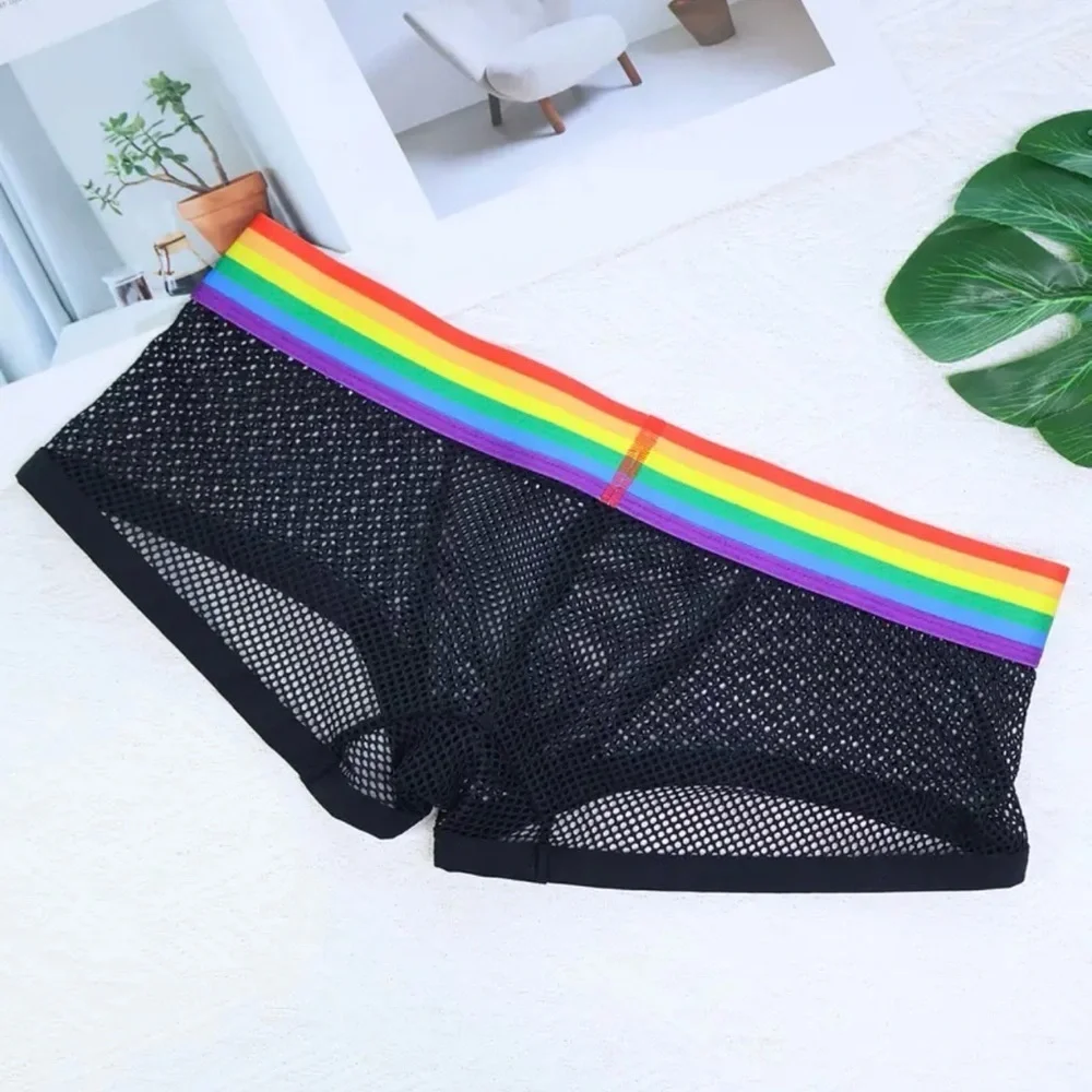 Black Mesh Boxer Briefs with Rainbow Waistband